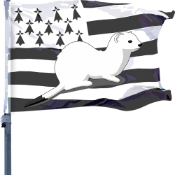 Drapeau Breton et hermine blanche